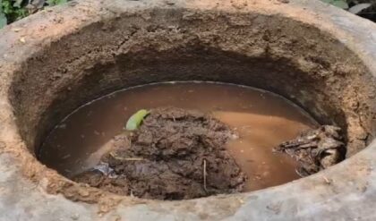 আরবের যুদ্ধে পুড়ছে পকেট! মোক্ষম দাওয়াই দিল কাঁকসা, গোবর গ্যাসেই কি হবে মুশকিল আসান?