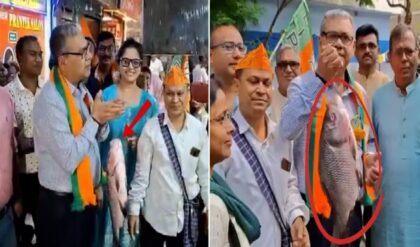 বাজার থেকে সোজা ভোটারদের দুয়ারে! অভিনব কায়দায় পদ্ম শিবিরের প্রচার, শারদ্বতের মাছ-ম্যাজিক কি কাজ করবে?