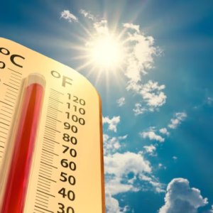 উধাও শীতের আমেজ, দোলের দিন চড়বে পারদ! হু হু করে বাড়ছে কলকাতার তাপমাত্রা