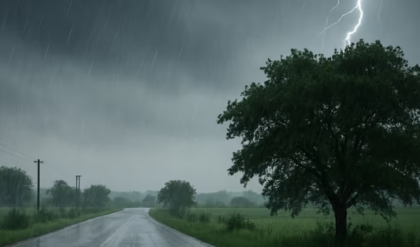 ভ্যাপসা গরমে নাজেহাল দশা, অবশেষে স্বস্তির বার্তা! রবিবার থেকেই ভিজবে বাংলা?