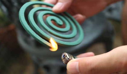 মশা তাড়াতে কয়েল জ্বালাচ্ছেন? নিজের অজান্তেই ফুসফুসে ঢুকছে ১০০টি সিগারেটের বিষ!