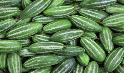 পটল মানেই বিস্বাদ? এই ‘সবুজ ম্যাজিক’ শরীরের মারণ রোগ তাড়াতে কতটা শক্তিশালী জানেন কি?