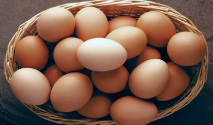 ডিমের গায়েই থাকবে জন্ম-মৃত্যুর তারিখ! যোগী সরকারের কড়া নির্দেশে কাঁপছে অসাধু ব্যবসায়ীরা