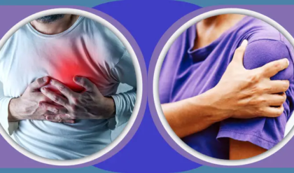 বাম হাতের ব্যথা কি হার্ট অ্যাটাকের পূর্বাভাস? এই লক্ষণগুলো দেখলে এক মুহূর্ত দেরি করবেন না!