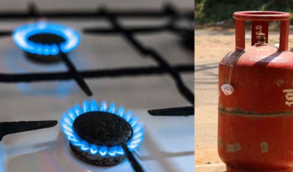 রান্নার গ্যাসের সিলিন্ডারে এবার ওজনে কোপ? ১৪ কেজির বদলে ১০ কেজি এলপিজি দেওয়ার বড় পরিকল্পনা!