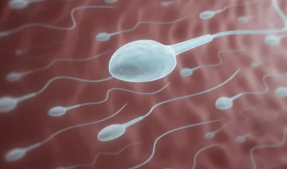 বাবা হতে চান? স্পার্ম কাউন্ট ও গতি বাড়াতে ম্যাজিকের মতো কাজ করবে এই ৬টি টিপস!