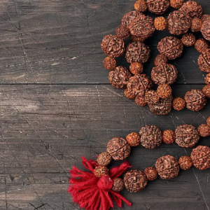 মহাদেবের অশ্রুতেই ফিরবে ভাগ্য! পঞ্চমুখী রুদ্রাক্ষের জাদুতে লটারি লাগবে এই ২ রাশির