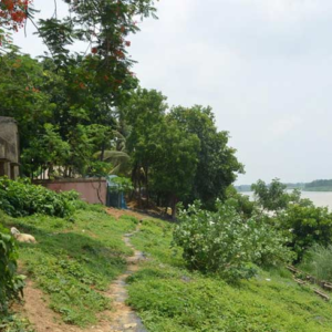 ভোট আসে ভোট যায়, বদলে যায় না নড়বড়ে সাঁকো! কেতুগ্রামের এই গ্রামে ঢুকতেই ভয় পান প্রার্থীরা?