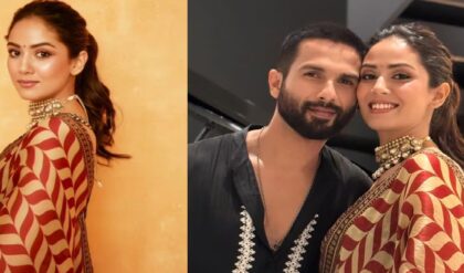 বলিউডে ডেবিউ করছেন মীরা? শাহিদ পত্নীর একটি মন্তব্যেই তোলপাড় বি-টাউন, জেনে নিন আসল সত্যিটা