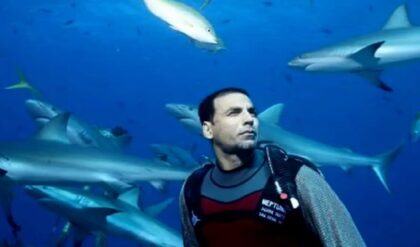 মাথা ফেটে রক্তপাত, গন্ধে তেড়ে এল হাঙর বাহিনী! মাঝসমুদ্রে কীভাবে প্রাণ বাঁচল ‘খিলাড়ি’র?