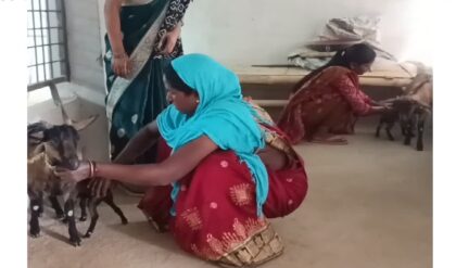 ব্যাঙ্ক থেকে ঋণ মিলবে আস্ত ছাগল! আজব এই ‘গোট ব্যাঙ্ক’-এর কিস্তি কী জানেন?