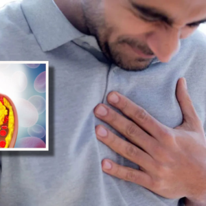 রক্তে বাড়ছে মোমজাতীয় চর্বি? এই ৫টি ভুলই আপনার হার্টকে ঠেলে দিচ্ছে বিপদের দিকে