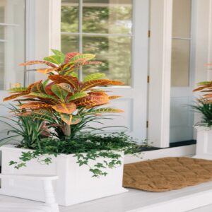 ডাস্টবিনে ফেলা জিনিস দিয়েই সাজান নিজের স্বর্গ! ব্যালকনি গার্ডেনিংয়ের এই জাদুকরী উপায় জানেন কি?