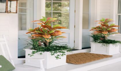 ডাস্টবিনে ফেলা জিনিস দিয়েই সাজান নিজের স্বর্গ! ব্যালকনি গার্ডেনিংয়ের এই জাদুকরী উপায় জানেন কি?