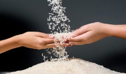 ভারতের ‘ভাতের রাজধানী’! কোন শহরকে কেন এই নামে ডাকা হয়? জেনে নিন আসল কারণ!