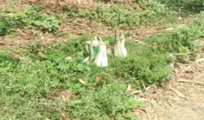 ভোটের মুখে রক্তস্নাত হওয়ার ছক? ধুলিয়ানে পরিত্যক্ত ব্যাগে মিলল তাজা বোমা! তীব্র আতঙ্ক!