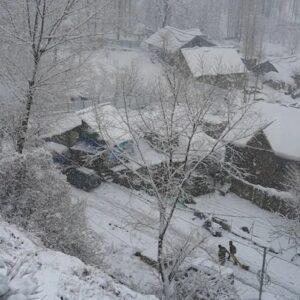 শ্রীনগরে হাড়কাঁপানো শৈত্যপ্রবাহ! মাইনাস ৬ ডিগ্রিতে থমকে গেল জনজীবন, বরফ জমল ডাল লেকে