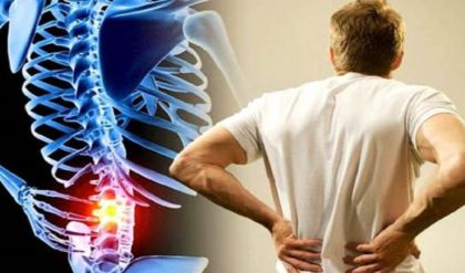 হাড় হবে লোহার মতো শক্ত! বয়স ৪০ পেরোলেও মিলবে ঘোড়ার মতো শক্তি, পাতে রাখুন এই ৫ খাবার