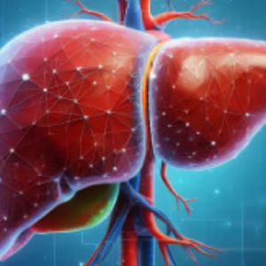 পেটের ভেতরেই কি জমছে বিষ? ফ্যাটি লিভারের এই ৫টি ‘সাইলেন্ট’ সংকেত চিনতে ভুল করবেন না!