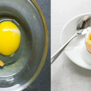 কাঁচা ডিম খাচ্ছেন? বিপদ হতে পারে মারাত্মক, ফুডপয়জনিংয়ের বিষয়ে সতর্ক করলেন চিকিৎসকরা