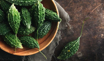 উচ্ছে চাষে ১২ বছরের রেকর্ড খরা! দাম আকাশছোঁয়া হলেও মাথায় হাত কৃষকদের