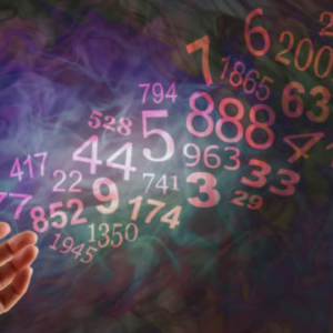 কেমন কাটবে আপনার চলতি সপ্তাহ? জানুন ১ থেকে ৯ সংখ্যার জাতক-জাতিকাদের ভাগ্যের চাবিকাঠি!