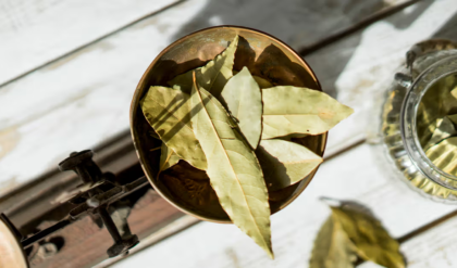 রান্নায় নয়, তেজপাতা পোড়ালে মিলবে অবাক করা ফল! ম্যাজিকটি জানলে আজই করবেন