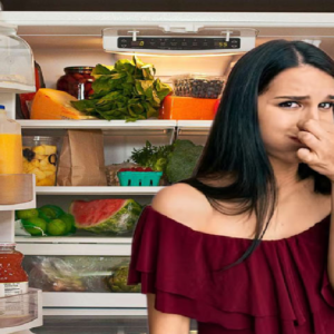 ফ্রিজ খুললেই নাকে রুমাল দিতে হচ্ছে? ১ টাকাও খরচ না করে দুর্গন্ধ তাড়ানোর ৩টি জাদুকরী ঘরোয়া উপায়!