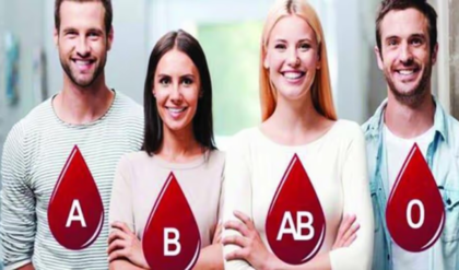 আপনার ব্লাড গ্রুপ কী? রক্তই বলে দেবে আপনি মানুষ হিসেবে কেমন! মিলিয়ে নিন আজই