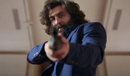 “অ্যানিম্যাল থেকে শিক্ষা নিন”, হিন্দি সিনেমার ব্যর্থতা নিয়ে সরব তেলুগু তারকা অল্লু সিরিশ