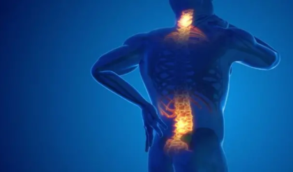 হাড়ের ব্যথাকে অবহেলা করবেন না! কাদের অস্থিসন্ধির সমস্যা হওয়ার ঝুঁকি বেশি?