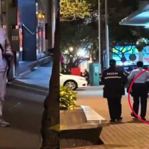 পিছু নিচ্ছে যান্ত্রিক দানব! মাঝরাস্তায় ৪ ফুটের রোবট দেখে ভয়ে হাসপাতালে মহিলা