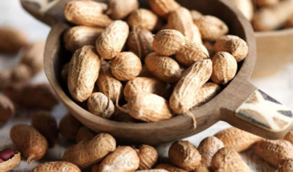কাঁচা বাদাম না ভাজা? স্বাস্থ্যের জন্য আসল উপকারী কোনটি? জেনে নিন এখনই
