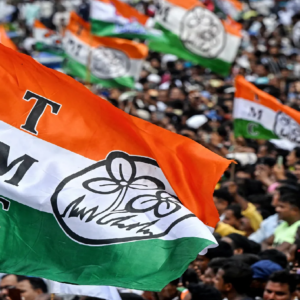 তারকা না কি নতুন মুখ— কার দিকে পাল্লা ভারি? বিকেলেই প্রকাশ্যে ঘাসফুল শিবিরের তুরুপের তাস