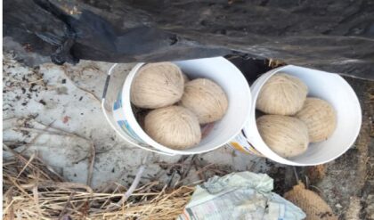 “অর্ডার পেলেই বোমা বাঁধত ছেলে!” হাড়োয়ায় ২২টি তাজা বোমা উদ্ধারের পর মায়ের বিস্ফোরক স্বীকারোক্তি