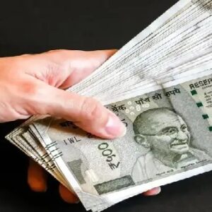 অল্প পুঁজিতেই ভাগ্যবদল! ঘরে বসে আচারের ব্যবসায় তাক লাগাচ্ছেন বাংলার নারী, আপনিও শুরু করবেন নাকি?