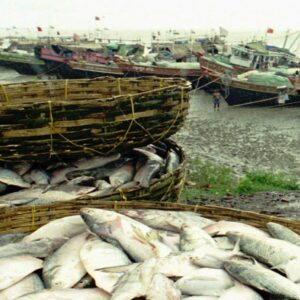 ‘কুণাল ঘোষ রেগে গেলে সোজা জেল!’ শুটিংয়ে ফেরার আগে কাকে নিয়ে রসিকতা অনির্বাণের?