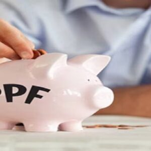 ধৈর্য আর নিয়মিত বিনিয়োগই আসল চাবিকাঠি—পিপিএফ থেকে ১ কোটি টাকা জমানোর সিক্রেট ফর্মুলা