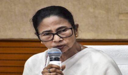 ‘চিপ ঢুকিয়ে দিতে পারে বিজেপি!’ ইভিএম বিকল হলে কী করবেন? শামসেরগঞ্জে দাওয়াই দিলেন তৃণমূল নেত্রী