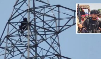 ভোর ৪টে থেকে টাওয়ারের মাথায় ‘রোমিও’! প্রেমিকার জন্য যুবকের কাণ্ড দেখে চক্ষু চড়কগাছ পুলিশের!