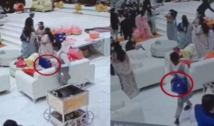 পেট ভরে খেলেন মটন বিরিয়ানি, তারপর কনের পরিবারের ৫ লাখ নিয়ে চম্পট! নয়ডার মেগা ডাকাতিতে তোলপাড়!