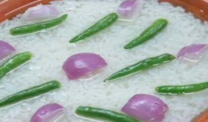 ইভিএম লুটের ভয়? মা-বোনেদের বিশেষ টাস্ক দিলেন দিদি! তুঙ্গে বঙ্গ রাজনীতির উত্তাপ!