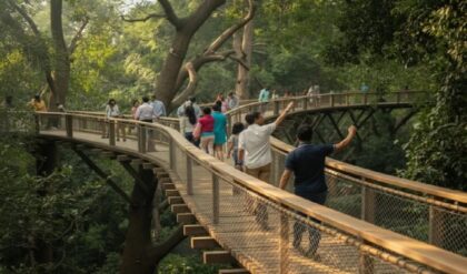 ভ্রমণপিপাসুদের জন্য বড় চমক! ২ কোটি টাকা ব্যয়ে তৈরি হচ্ছে বিশেষ স্কাই-ওয়াক; বাঘের ডেরায় এবার অন্যরকম অ্যাডভেঞ্চার!