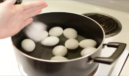 ইডলি মেকারে ডিম সেদ্ধ? খোসা ছাড়ানোর ঝামেলা ছাড়াই ডিম রান্নার ৩টি তুখোড় পদ্ধতি জানুন!