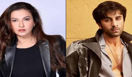 রণবীরের আপত্তিতে থমকে গেল বড় প্রজেক্ট! মোহিত সুরির লভ-স্টোরি বাতিল, কোন ‘ঝুঁকি’ নিতে চাইলেন না অভিনেতা?