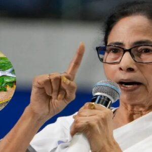 মাছে-ভাতে বাঙালির ভোটে এবার ‘আমিষ’ রাজনীতি! মোদি-মমতা সম্মুখ সমরে, কার জালে উঠবে ভোট? মাছে-ভাতে বাঙালির ভোটে এবার ‘আমিষ’ রাজনীতি! মোদি-মমতা সম্মুখ সমরে, কার জালে উঠবে ভোট?