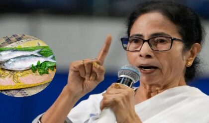 মাছে-ভাতে বাঙালির ভোটে এবার ‘আমিষ’ রাজনীতি! মোদি-মমতা সম্মুখ সমরে, কার জালে উঠবে ভোট?