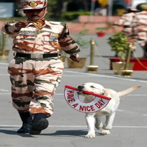 দেশসেবার সঙ্গে পশুপালন— ভারতীয় সেনার RVC-তে চাকরির বড় সুযোগ! কারা আবেদন করতে পারবেন?