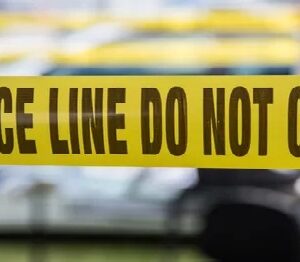 কলকাতায় STF-এর মেগা অপারেশন! ওড়িশা থেকে বাসে আসছিল লক্ষ লক্ষ টাকার গাঁজা, জালে নারীসহ ২ পাচারকারী