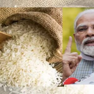 বিশ্বগুরুর বড় পদক্ষেপ! বিমানে যাবে বাসমতী, জাহাজে গম—ভারতের শস্য রফতানিতে নয়া মোড়